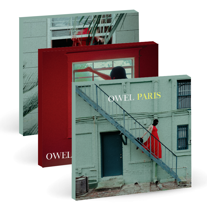 OWEL : Paris Canvas Prints