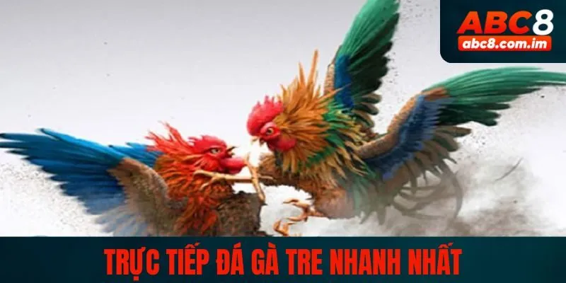 Trực tiếp đá gà tre